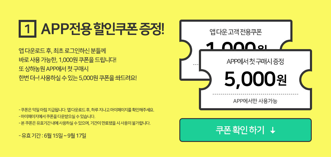 APP 전용 할인쿠폰 증정