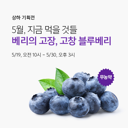 What to Eat Now : May ｜ 지금 먹을 것들 : 5월 <블루베리>