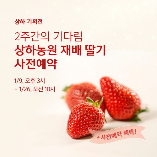 상하농원 재배 딸기 사전예약