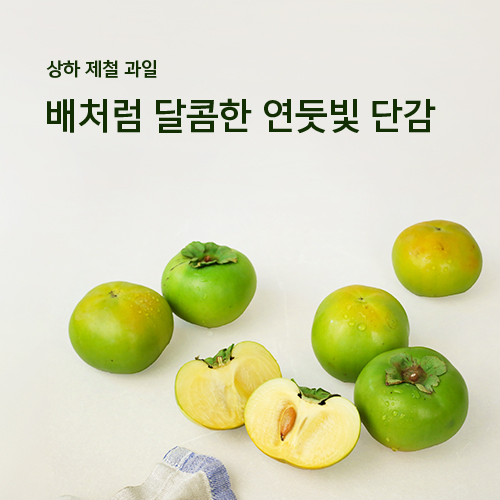 태추 단감