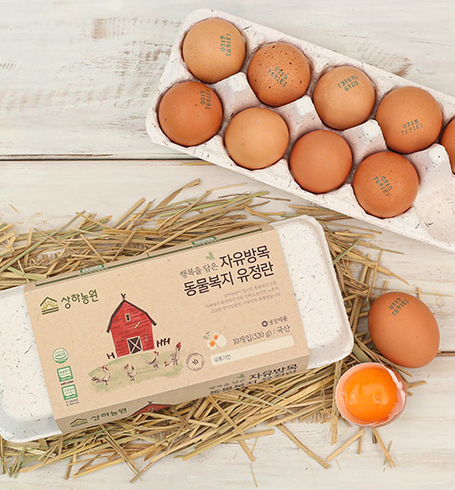 자유방목 동물복지유정란(10구X2팩) 정기배송