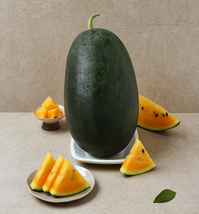 [당도보장] 블랙망고 수박 1통(3kg 내외)[12brix]