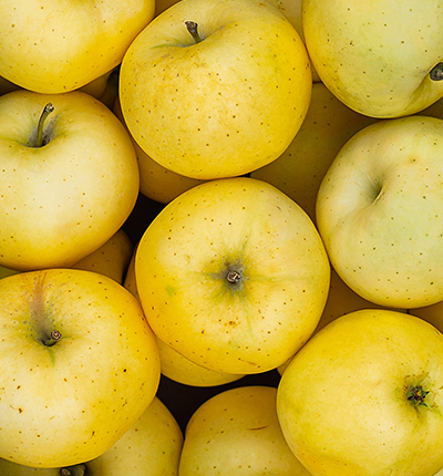 상하농원 공방혼합세트 B