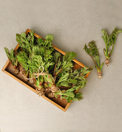 상하농원 공방혼합세트 B